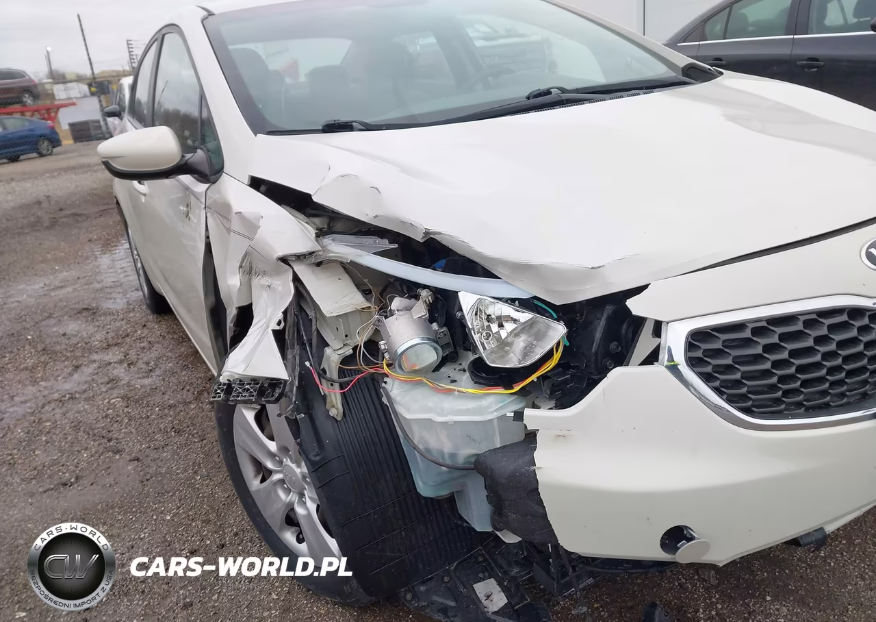 2015 Kia Forte Lx VIN:KNAFK4A64F5259680 - 6