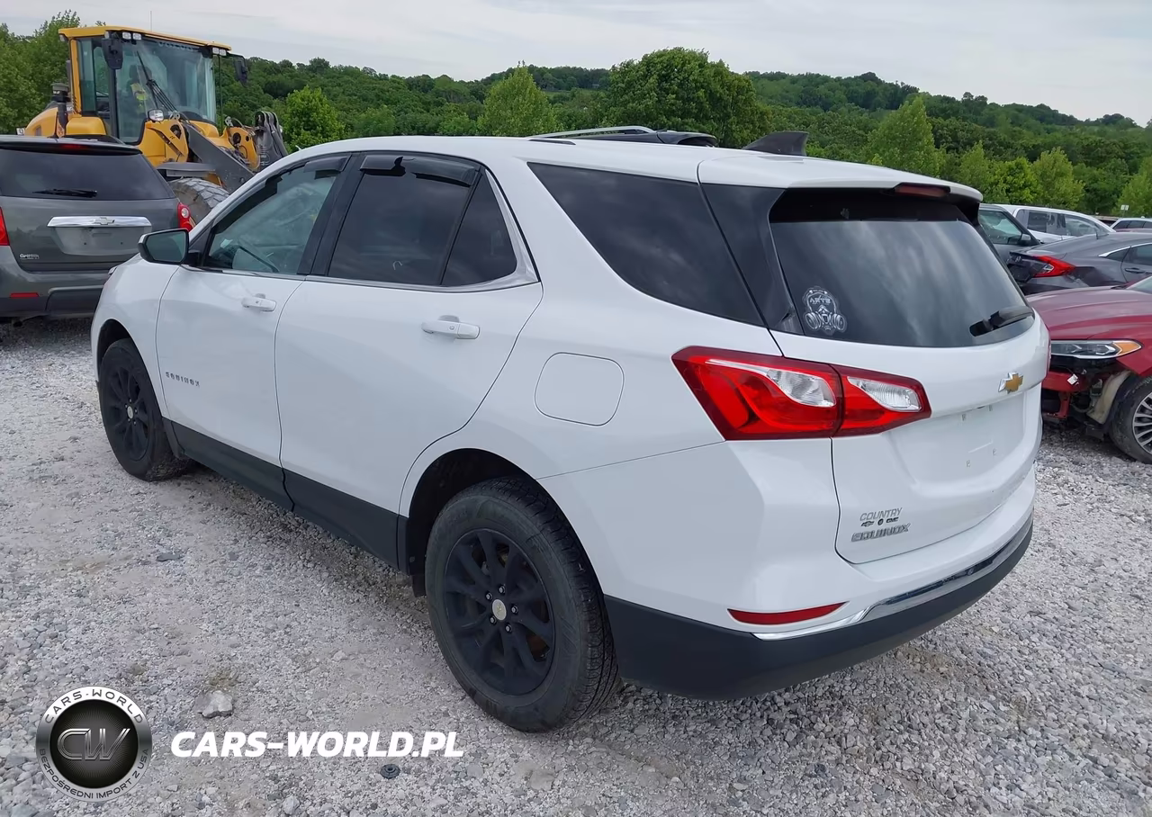 2019 Chevrolet Equinox Lt VIN:2GNAXUEV4K6169919 - 3