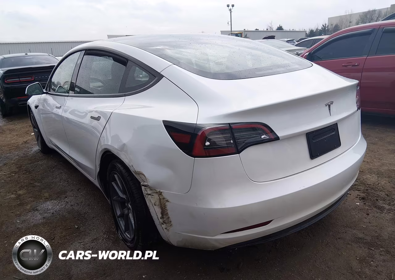 2023 Tesla Model 3 Rear-Wheel Drive VIN:5YJ3E1EA0PF584448 - 3