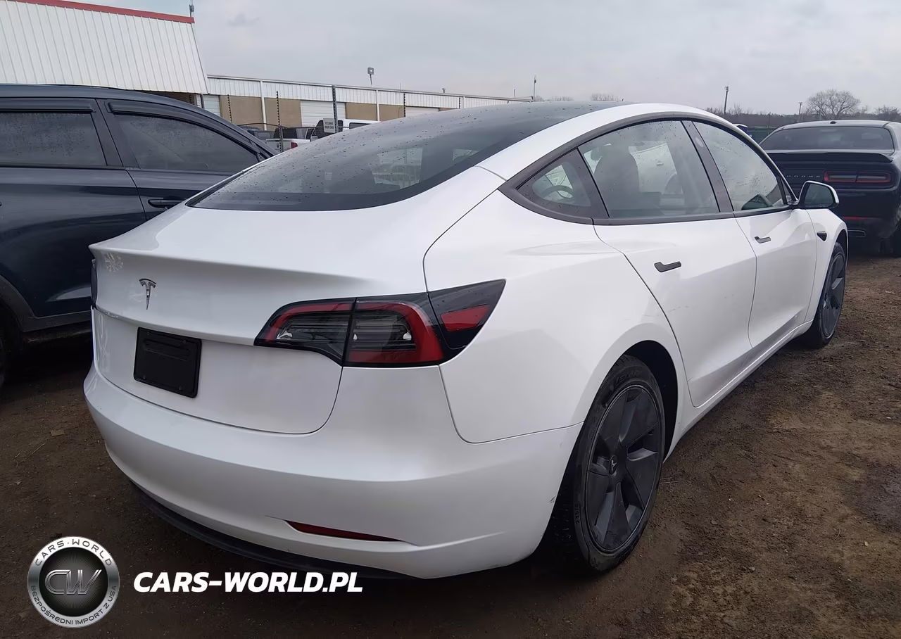 2023 Tesla Model 3 Rear-Wheel Drive VIN:5YJ3E1EA0PF584448 - 4