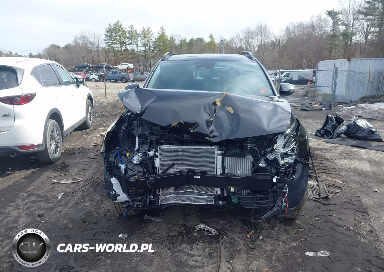 2025 Kia Sportage Plug-In Hybrid X-Line VIN:KNDPYDDH0S7228945 - 13