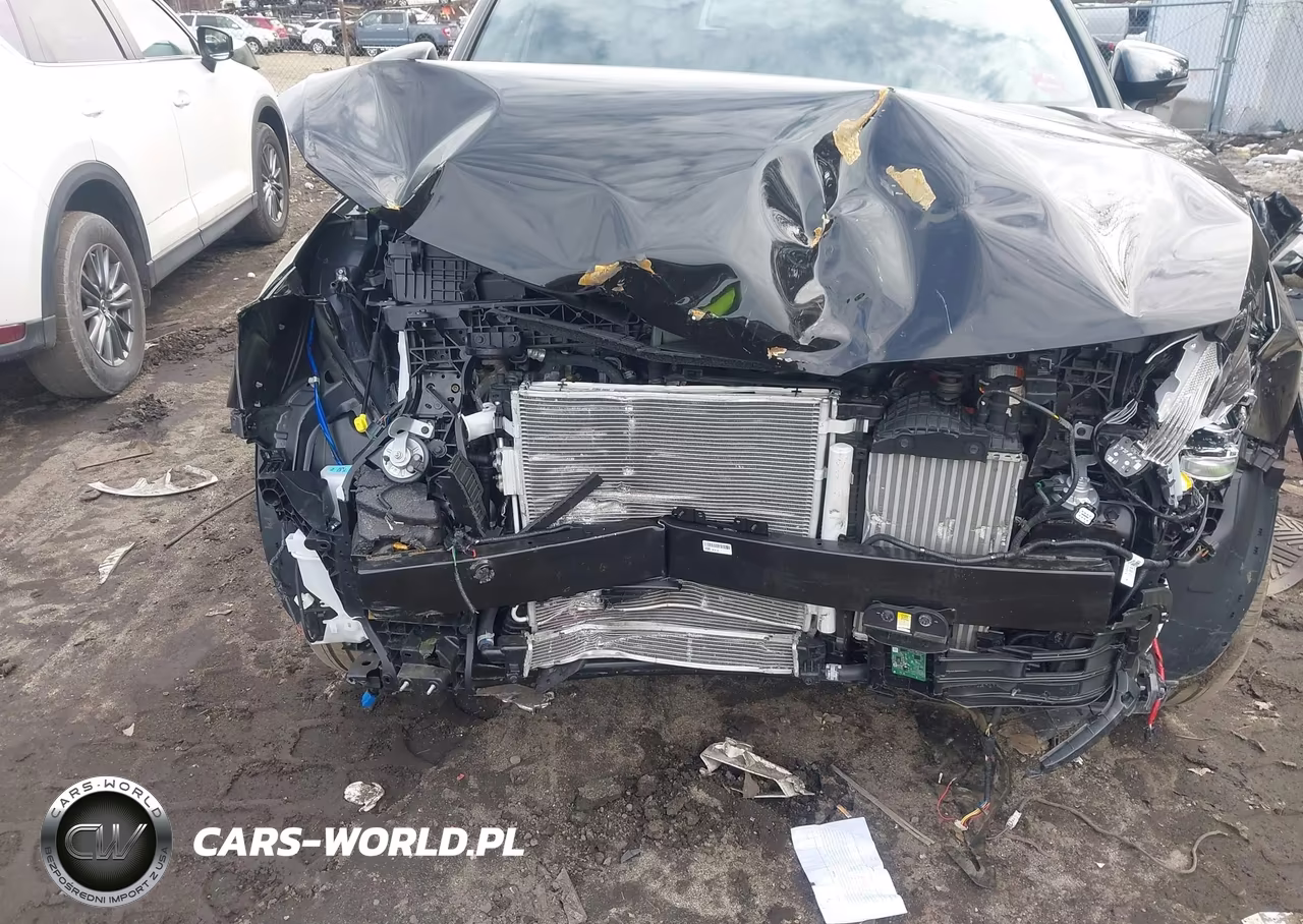 2025 Kia Sportage Plug-In Hybrid X-Line VIN:KNDPYDDH0S7228945 - 6