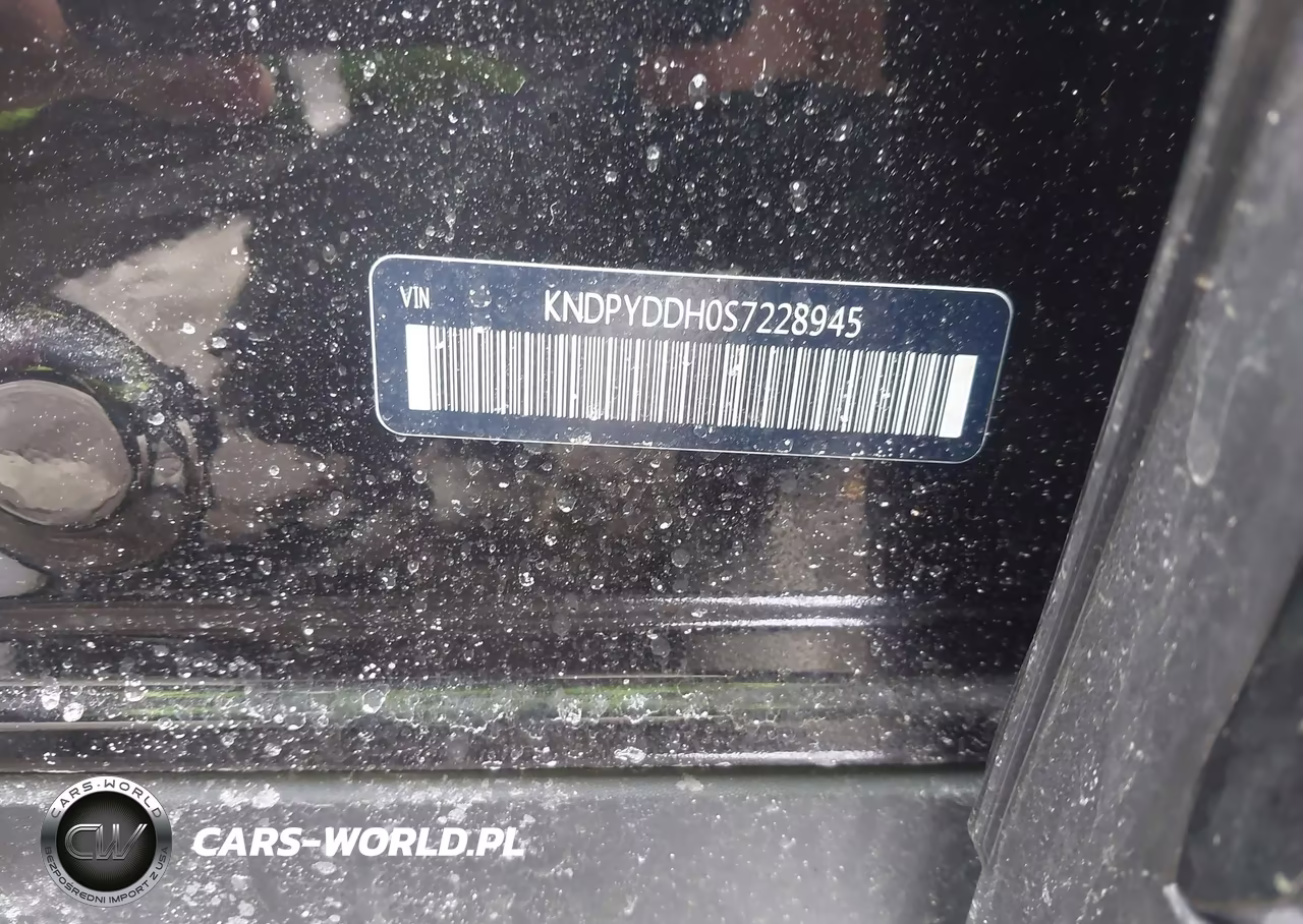 2025 Kia Sportage Plug-In Hybrid X-Line VIN:KNDPYDDH0S7228945 - 9