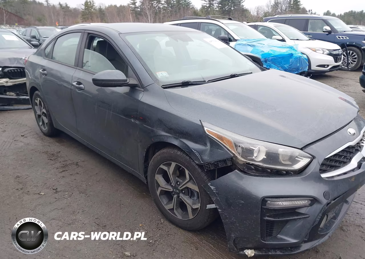 2019 Kia Forte Lxs