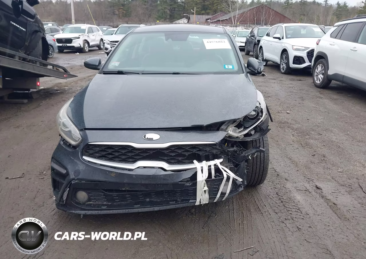 2019 Kia Forte Lxs VIN:3KPF24AD8KE074774 - 12