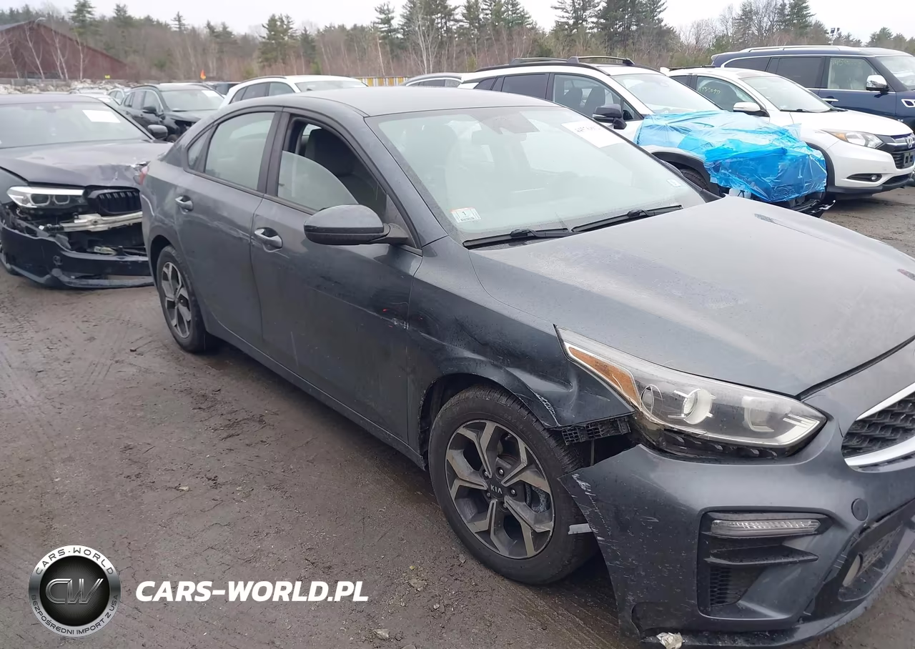 2019 Kia Forte Lxs VIN:3KPF24AD8KE074774 - 13