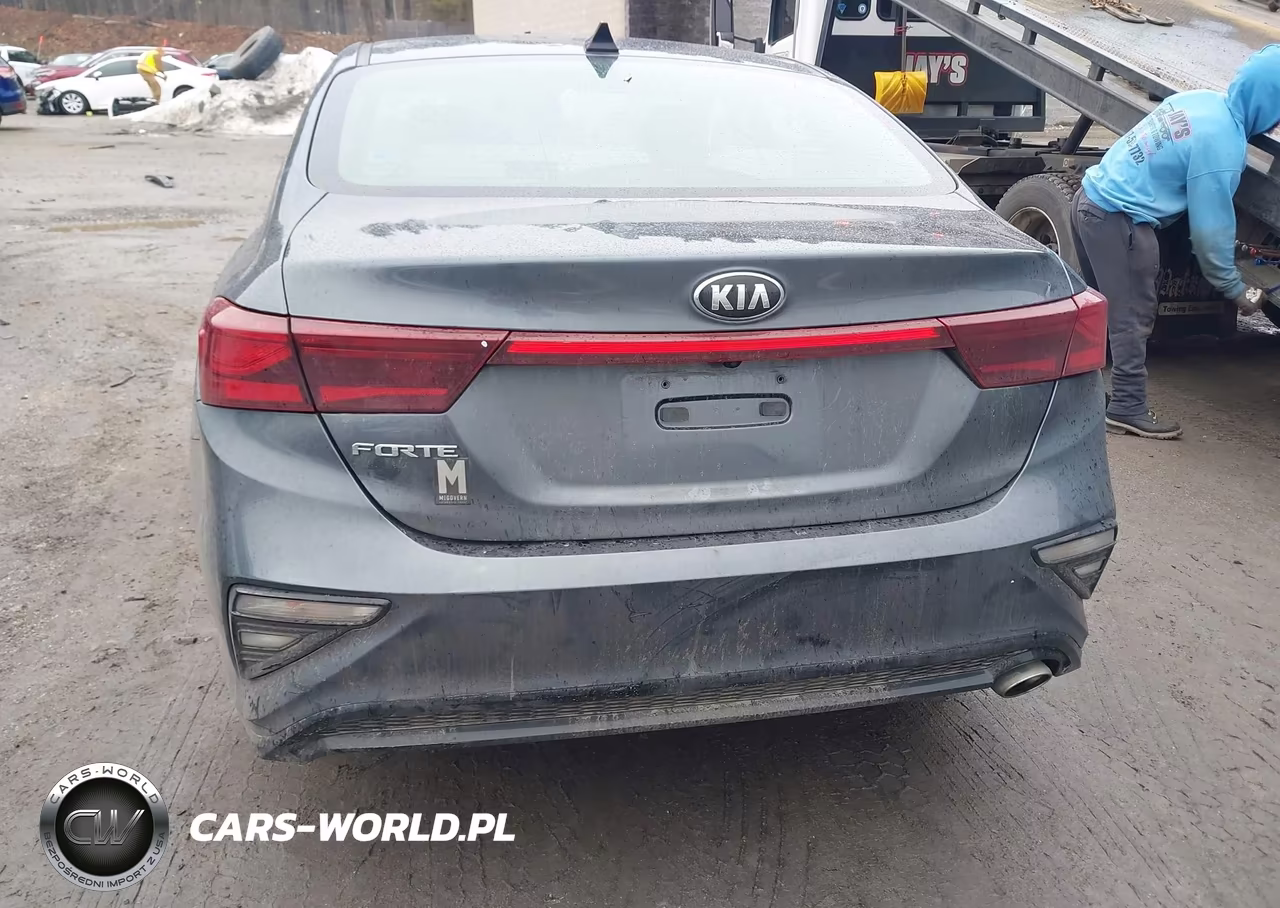 2019 Kia Forte Lxs VIN:3KPF24AD8KE074774 - 16