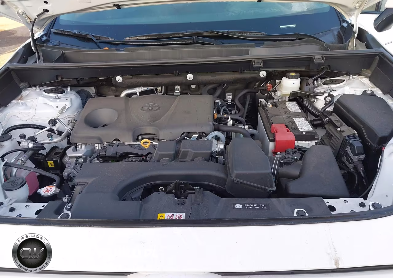 2024 Toyota Rav4 Xle VIN:2T3W1RFV3RW345871 - 10