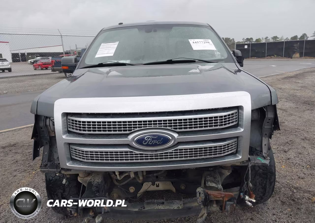 2011 Ford F-150 Platinum VIN:1FTFW1EF6BFA31278 - 13