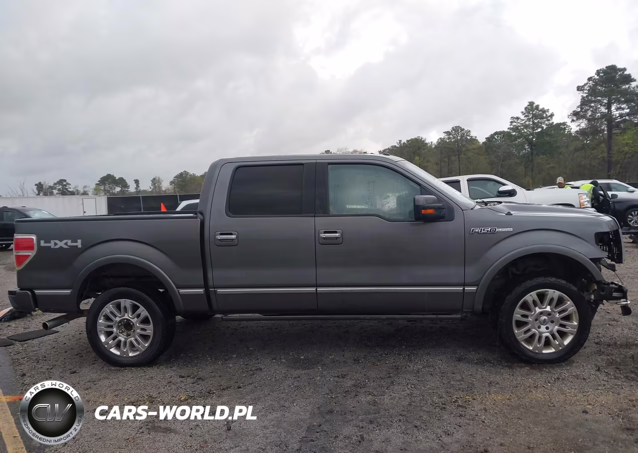 2011 Ford F-150 Platinum VIN:1FTFW1EF6BFA31278 - 14