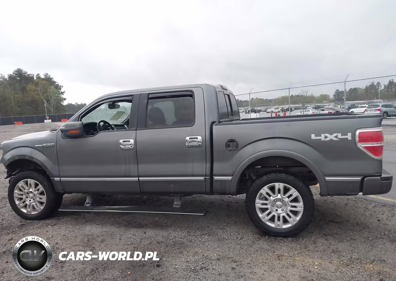 2011 Ford F-150 Platinum VIN:1FTFW1EF6BFA31278 - 15