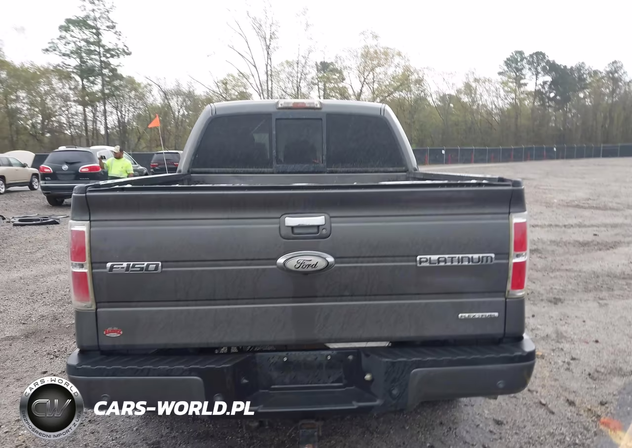2011 Ford F-150 Platinum VIN:1FTFW1EF6BFA31278 - 17