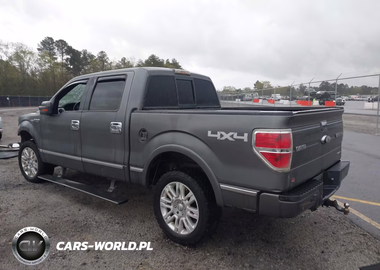 2011 Ford F-150 Platinum VIN:1FTFW1EF6BFA31278 - 3