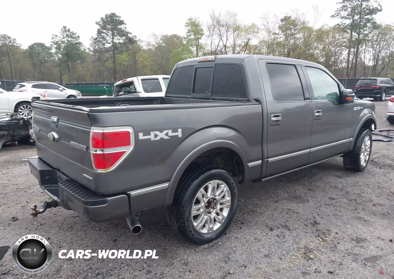 2011 Ford F-150 Platinum VIN:1FTFW1EF6BFA31278 - 4
