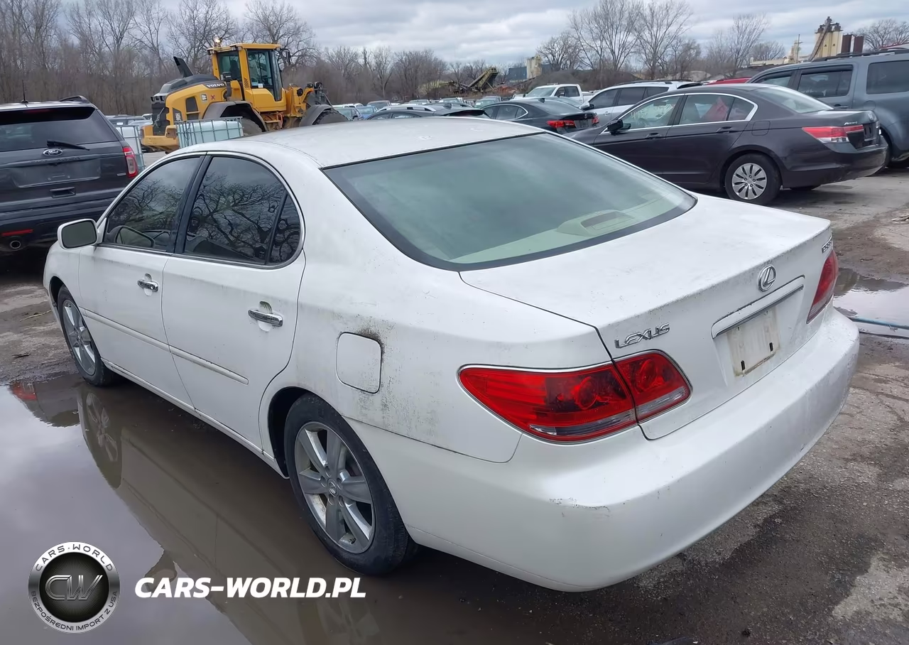 2005 Lexus Es 330 VIN:JTHBA30G255068636 - 3