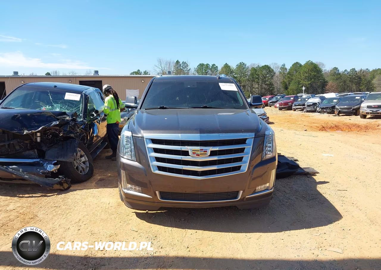 2016 Cadillac Escalade Esv Luxury Collection VIN:1GYS4HKJ4GR120899 - 12