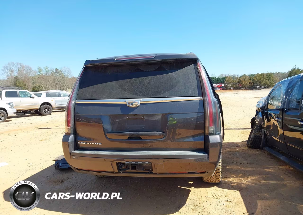 2016 Cadillac Escalade Esv Luxury Collection VIN:1GYS4HKJ4GR120899 - 16