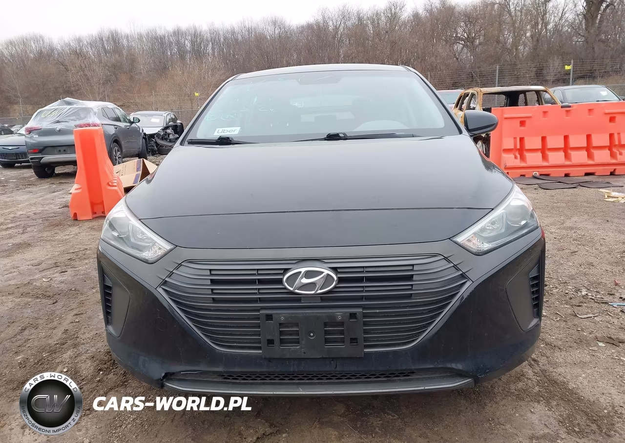 2019 Hyundai Ioniq Hybrid Blue VIN:KMHC65LC0KU171515 - 11