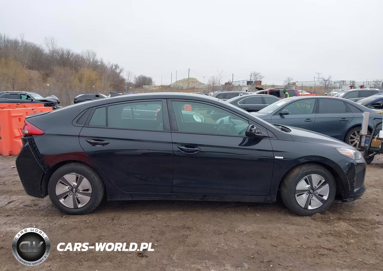 2019 Hyundai Ioniq Hybrid Blue VIN:KMHC65LC0KU171515 - 12