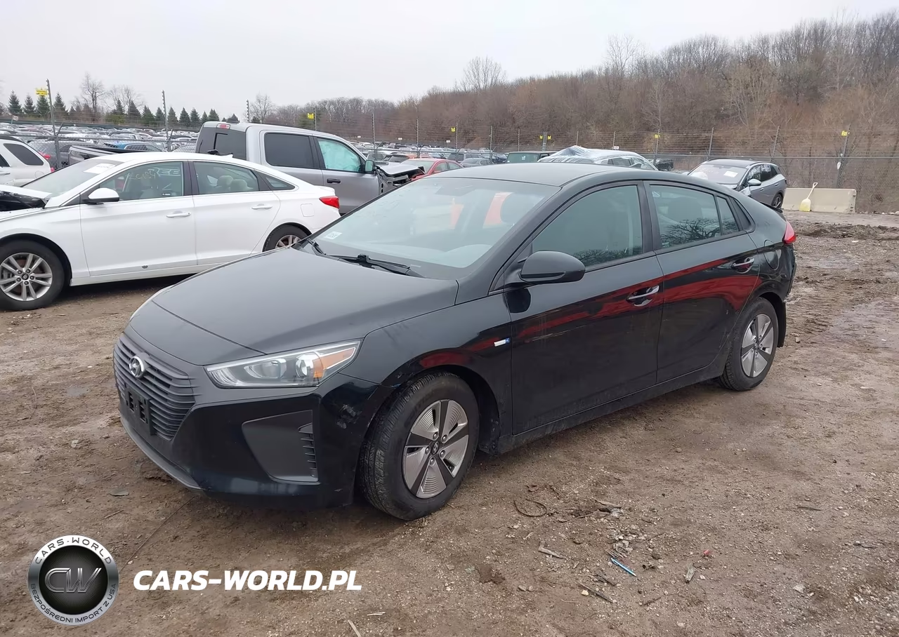 2019 Hyundai Ioniq Hybrid Blue VIN:KMHC65LC0KU171515 - 2