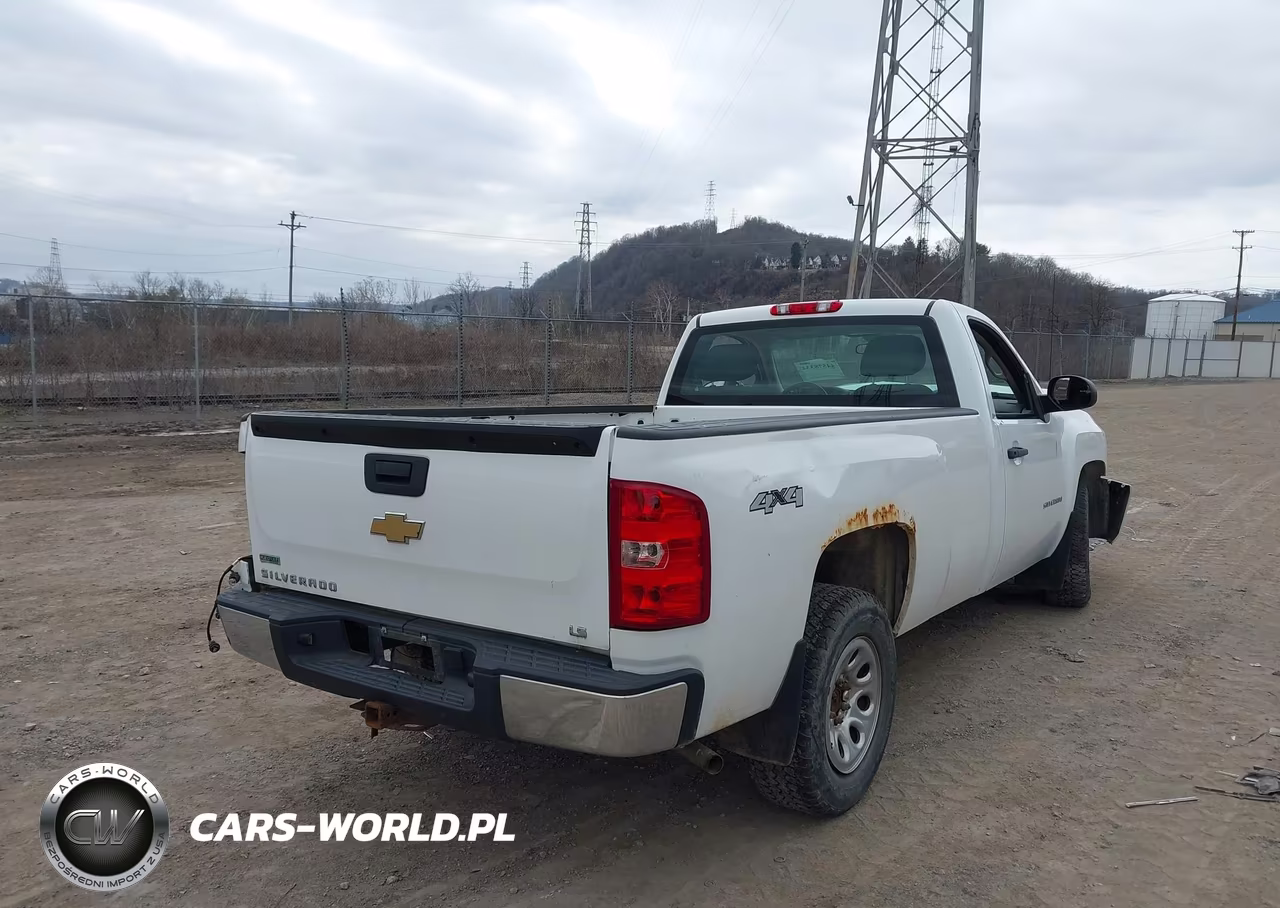 2011 Chevrolet Silverado 1500 Work Truck VIN:1GCNKPEA2BZ239395 - 4