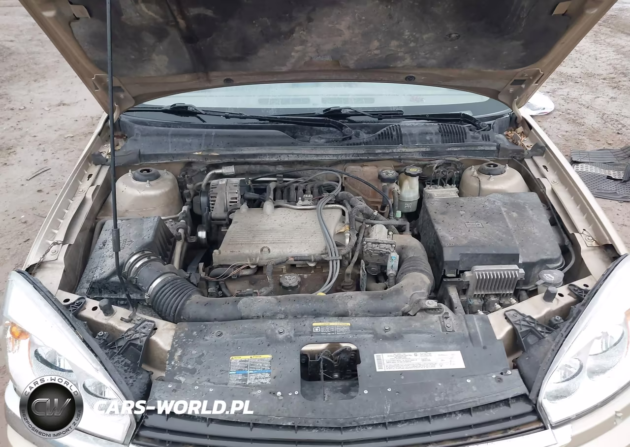 2005 Chevrolet Malibu Ls VIN:1G1ZT54845F158754 - 10