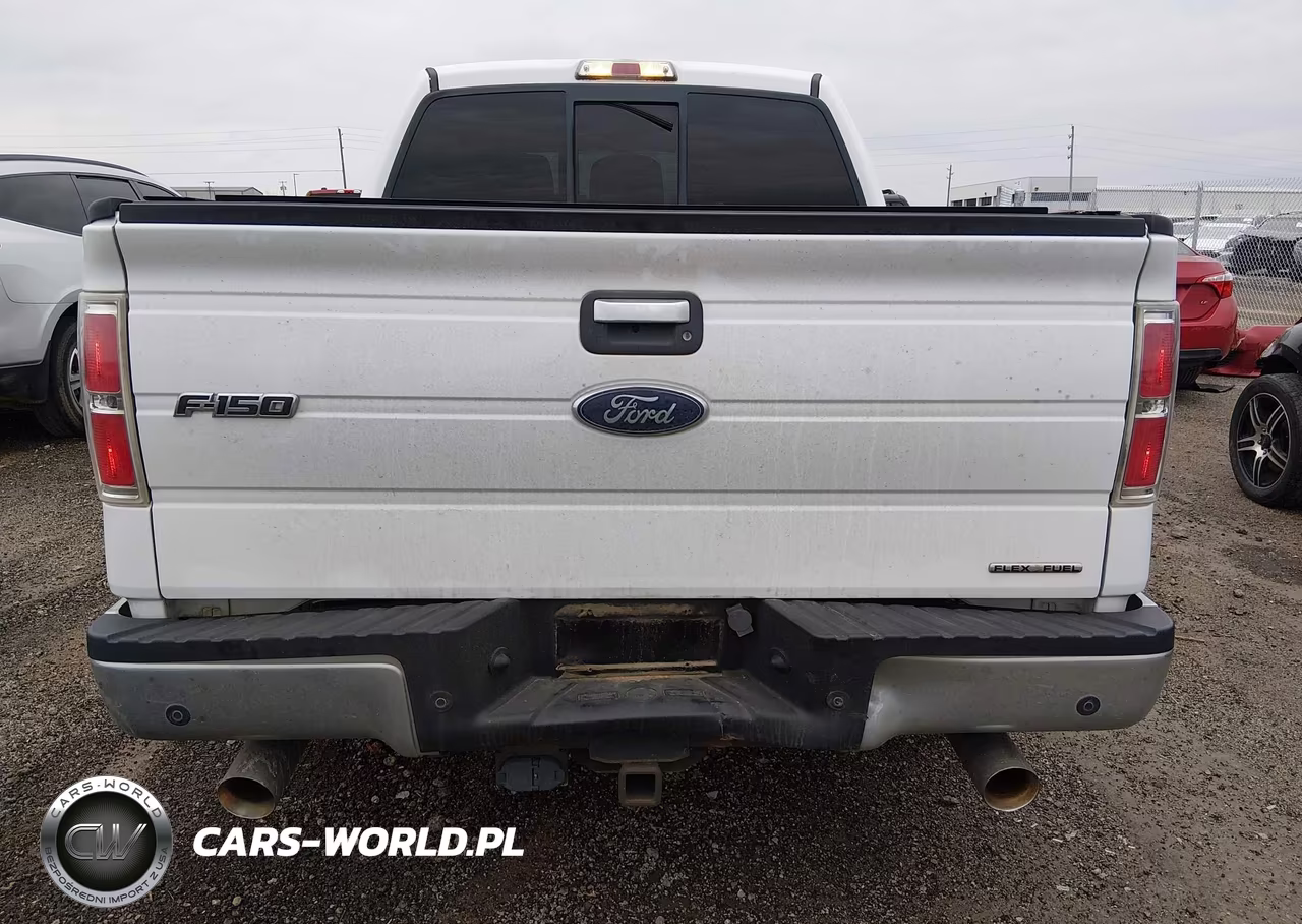 2011 Ford F-150 Xlt VIN:1FTFW1CF6BFD33611 - 17