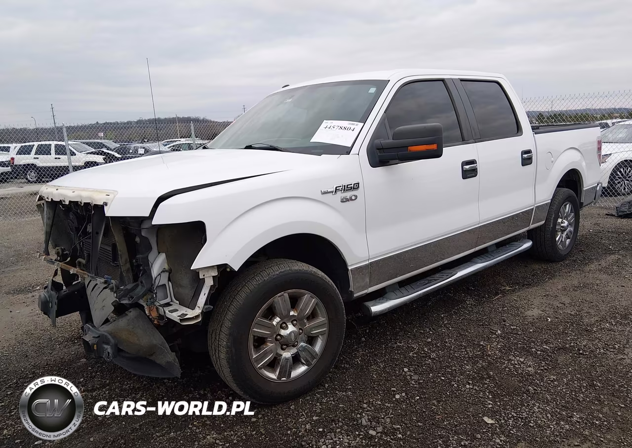 2011 Ford F-150 Xlt VIN:1FTFW1CF6BFD33611 - 2