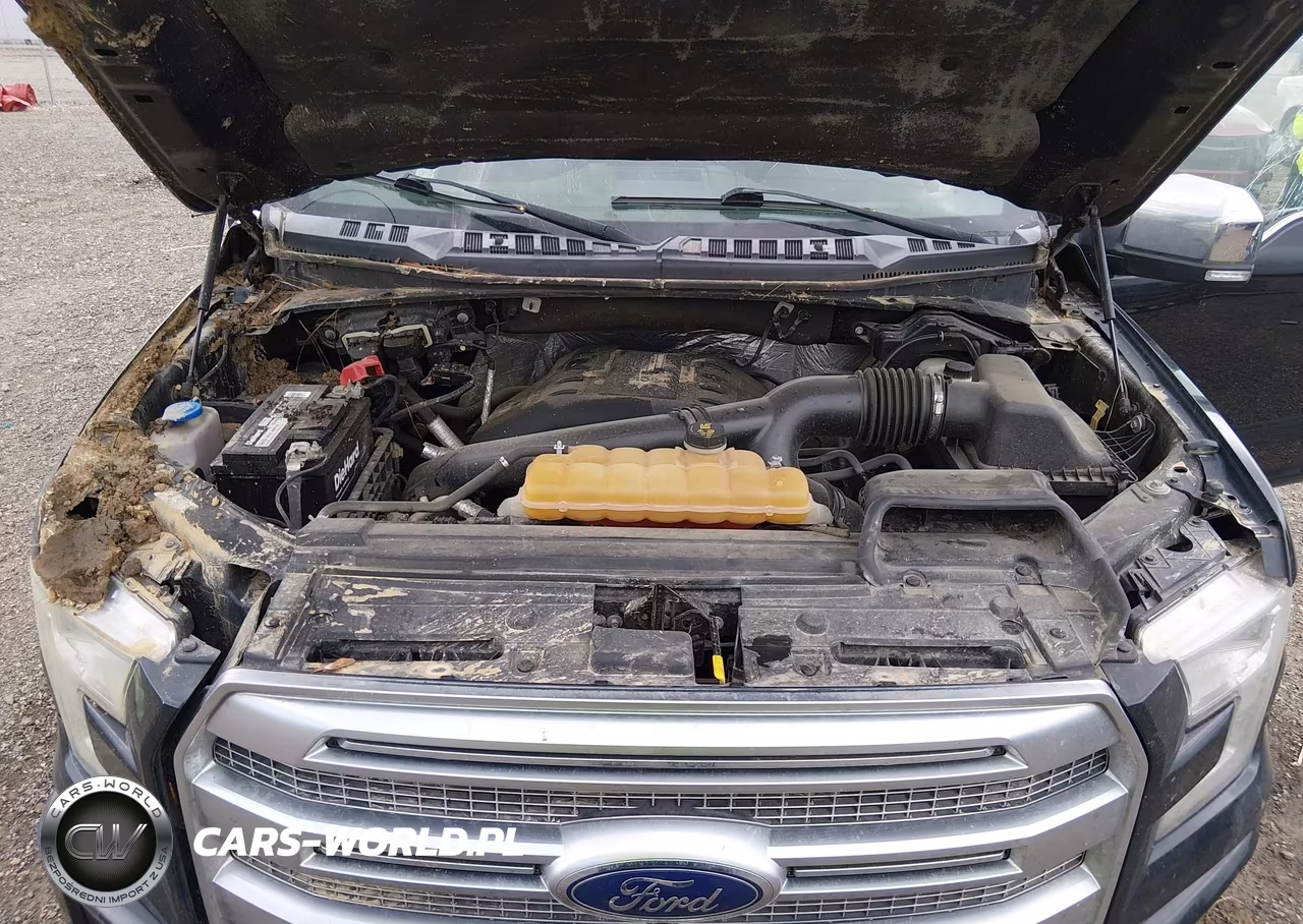 2015 Ford F-150 Platinum VIN:1FTEW1EGXFFB66919 - 10
