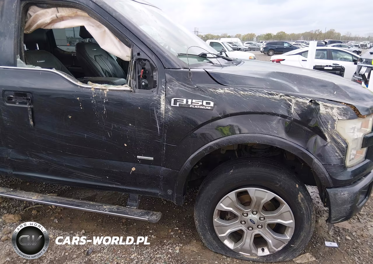 2015 Ford F-150 Platinum VIN:1FTEW1EGXFFB66919 - 11