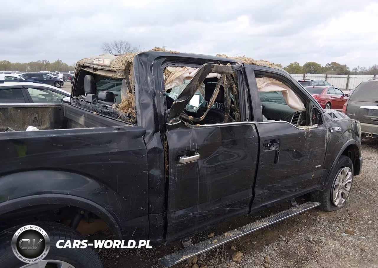 2015 Ford F-150 Platinum VIN:1FTEW1EGXFFB66919 - 12