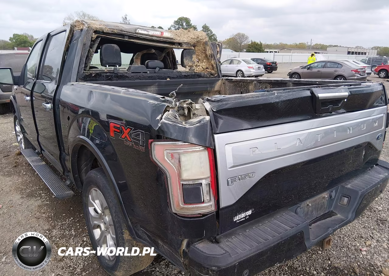 2015 Ford F-150 Platinum VIN:1FTEW1EGXFFB66919 - 13