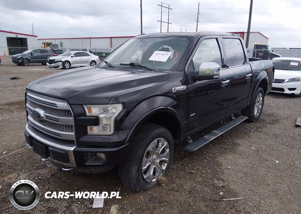 2015 Ford F-150 Platinum VIN:1FTEW1EGXFFB66919 - 2