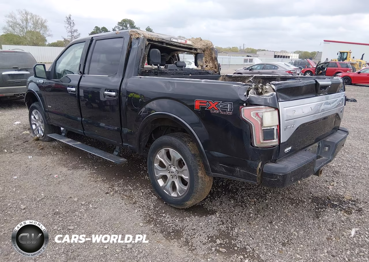 2015 Ford F-150 Platinum VIN:1FTEW1EGXFFB66919 - 3