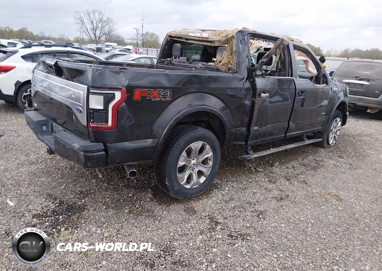 2015 Ford F-150 Platinum VIN:1FTEW1EGXFFB66919 - 4