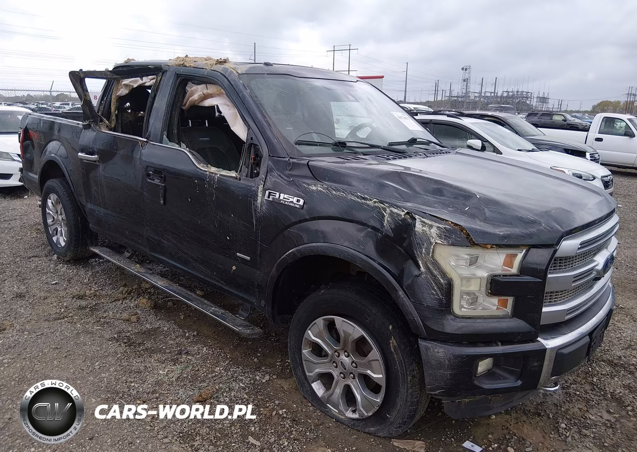 2015 Ford F-150 Platinum VIN:1FTEW1EGXFFB66919 - 6