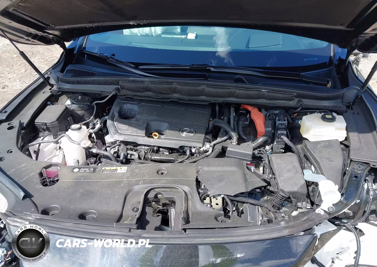 2024 Lexus Rx 350H Premium Plus VIN:2T2BBMCA9RC044317 - 10
