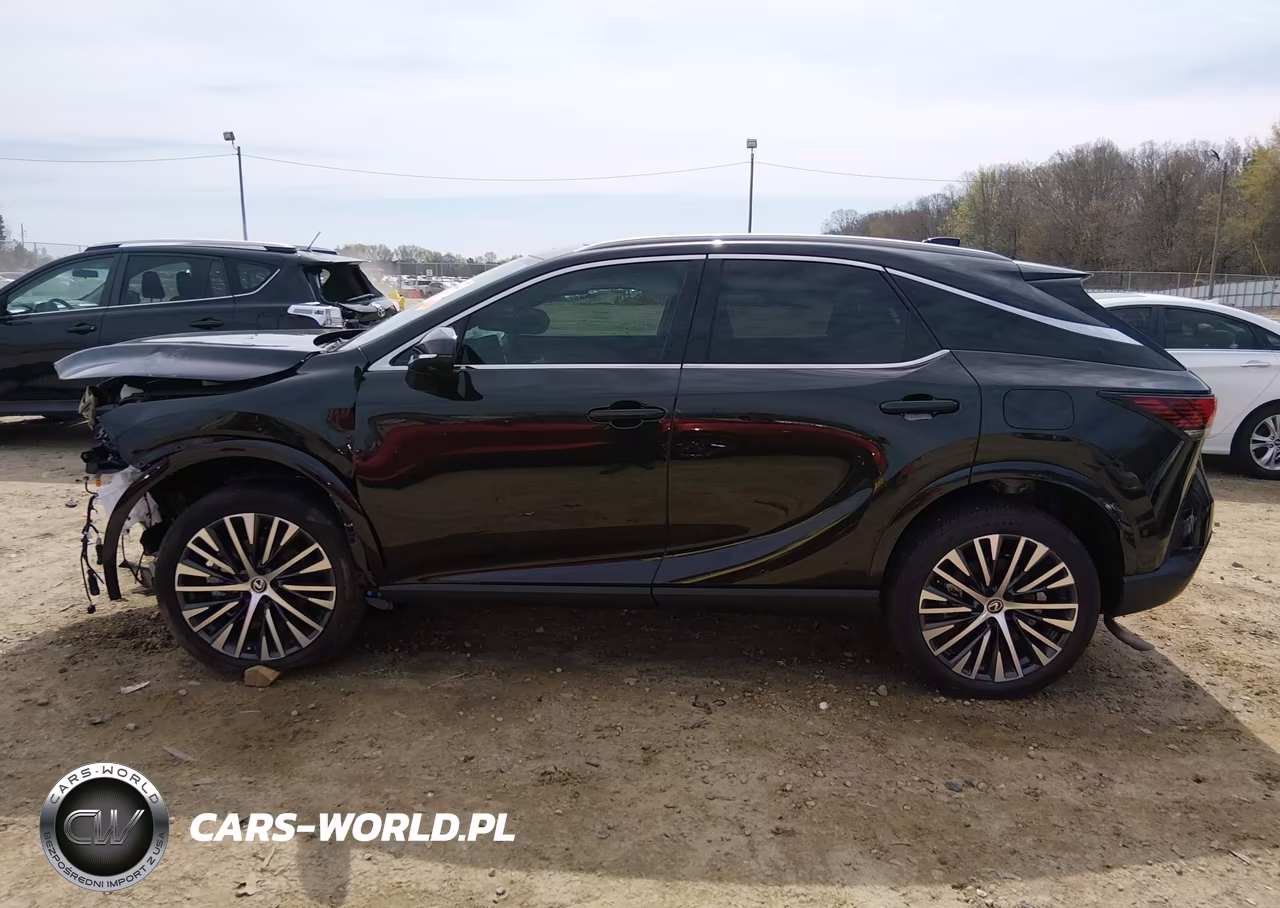 2024 Lexus Rx 350H Premium Plus VIN:2T2BBMCA9RC044317 - 16