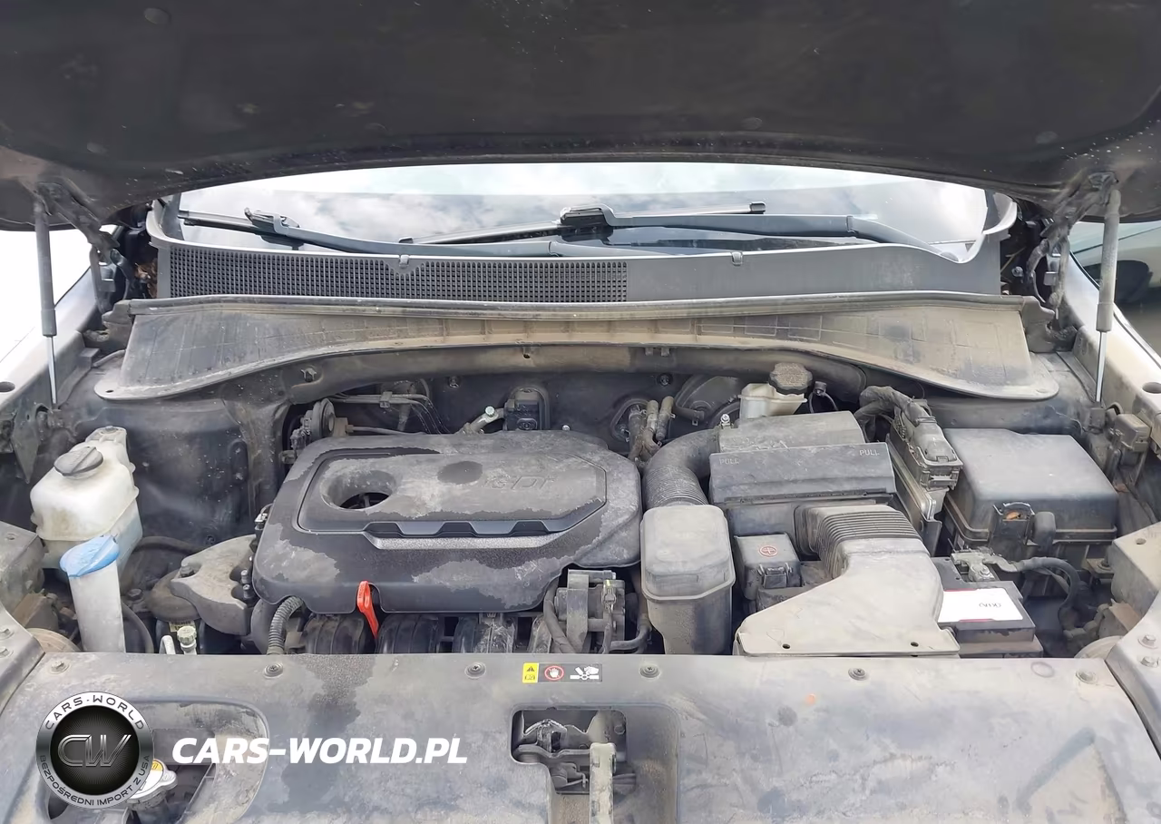 2016 Kia Sorento 2.4L Lx VIN:5XYPG4A31GG060075 - 10