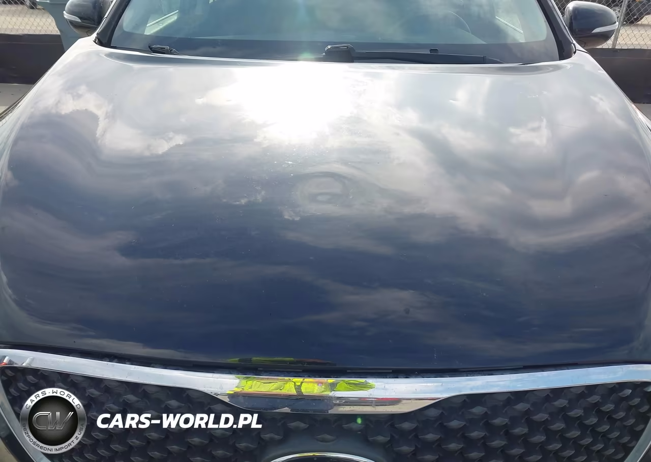 2016 Kia Sorento 2.4L Lx VIN:5XYPG4A31GG060075 - 6