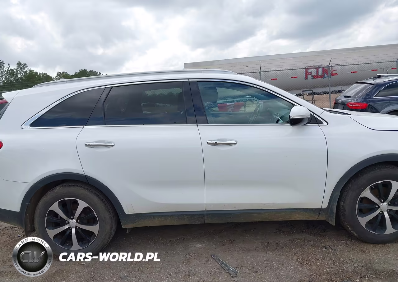 2016 Kia Sorento 2.0T Ex VIN:5XYPH4A15GG056218 - 14