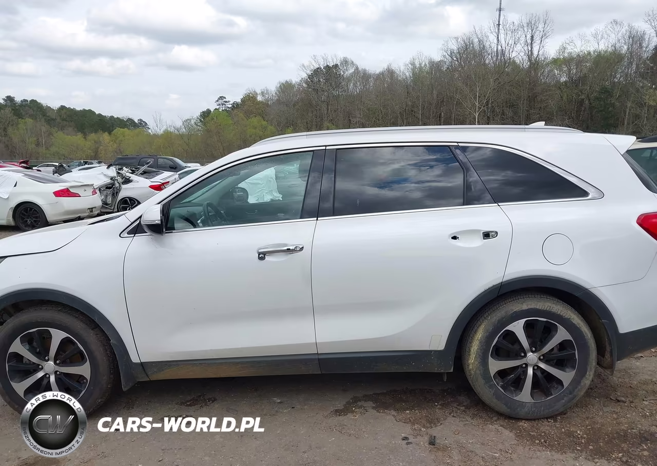 2016 Kia Sorento 2.0T Ex VIN:5XYPH4A15GG056218 - 15