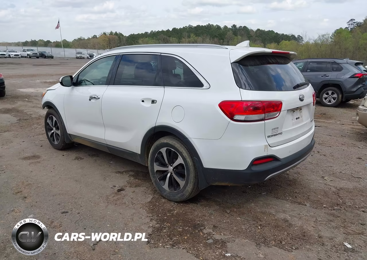 2016 Kia Sorento 2.0T Ex VIN:5XYPH4A15GG056218 - 3