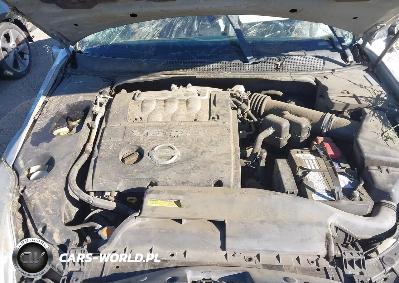 2005 Nissan Maxima 3.5 Sl VIN:1N4BA41E95C805174 - 10