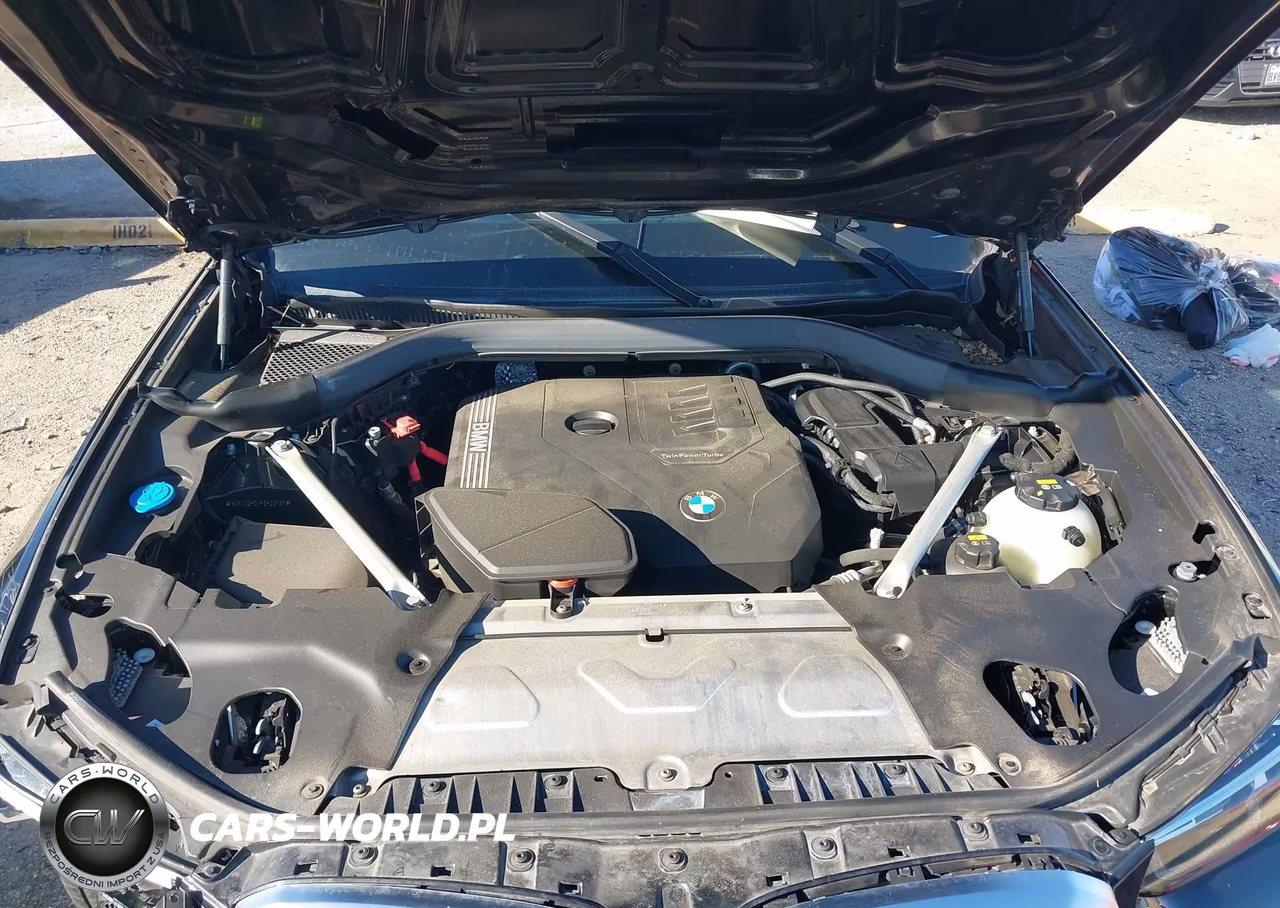 2023 BMW X3 Sdrive30I VIN:5UX43DP04P9P39737 - 10