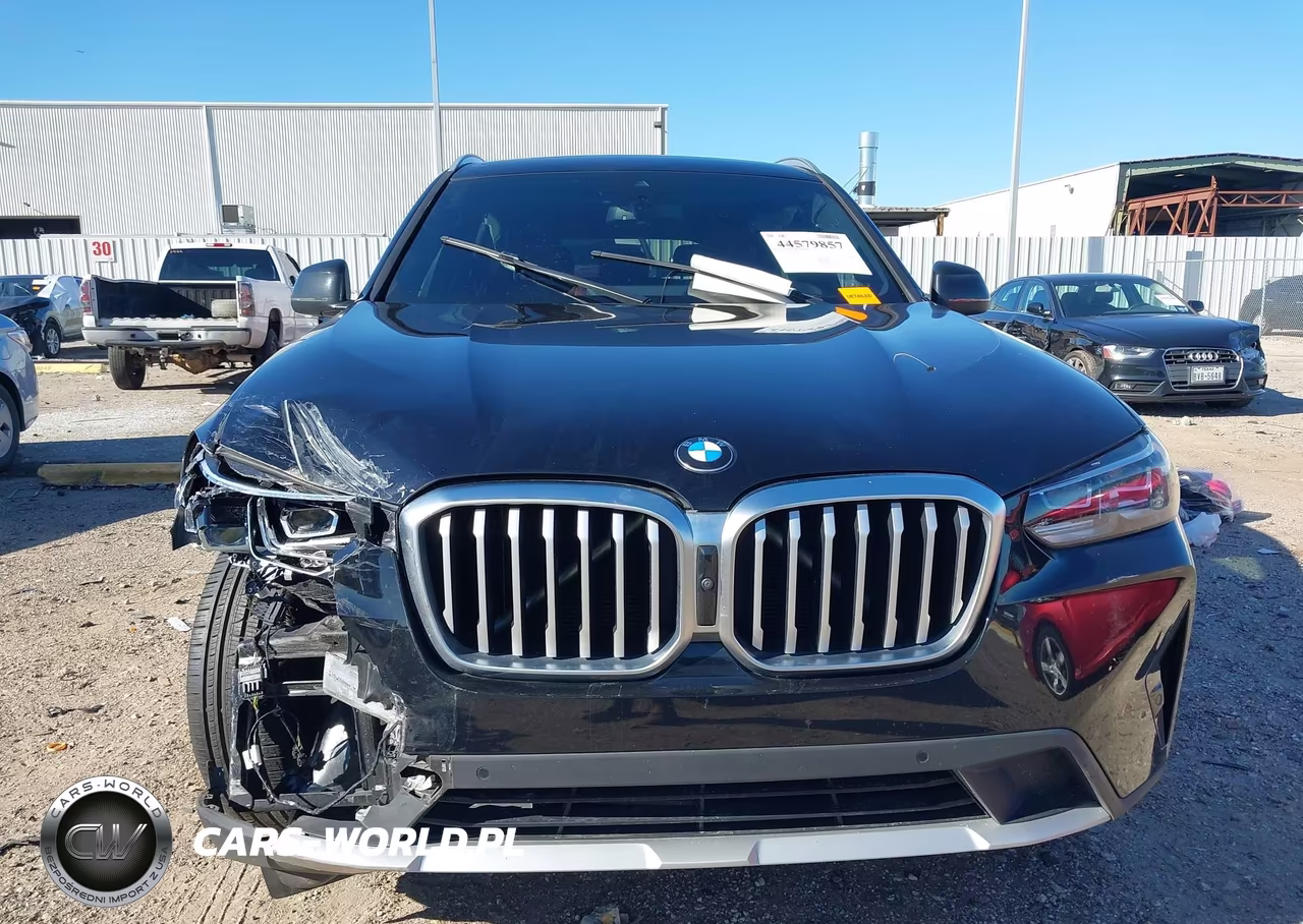 2023 BMW X3 Sdrive30I VIN:5UX43DP04P9P39737 - 12