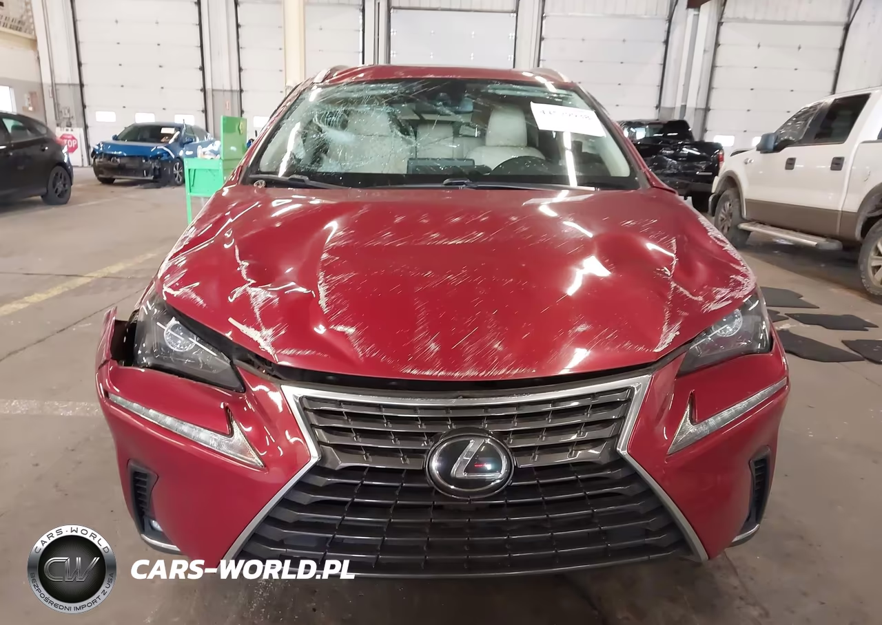 2020 Lexus Nx 300 VIN:JTJAARBZ0L5009092 - 12