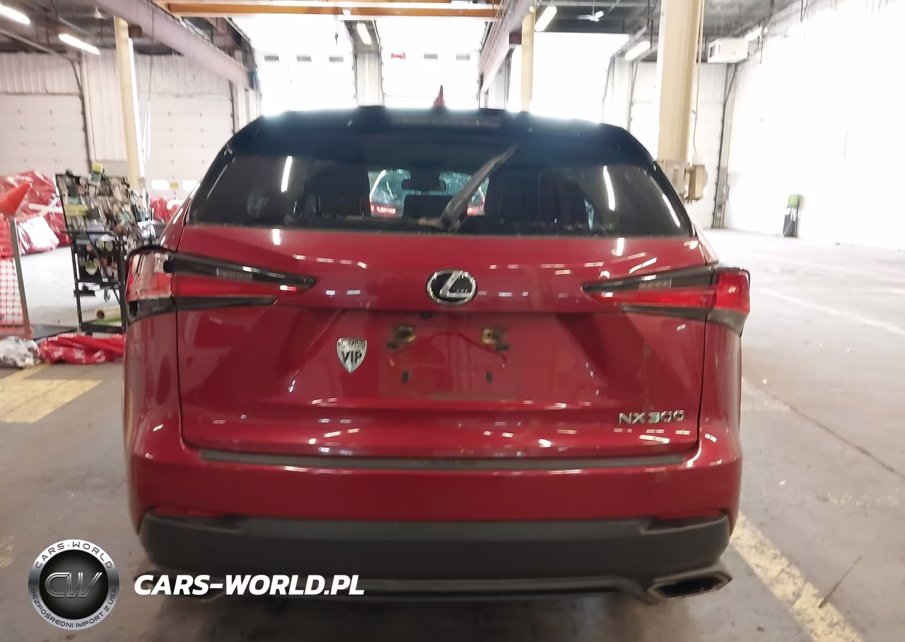 2020 Lexus Nx 300 VIN:JTJAARBZ0L5009092 - 16