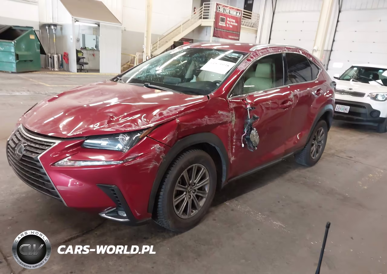 2020 Lexus Nx 300 VIN:JTJAARBZ0L5009092 - 2