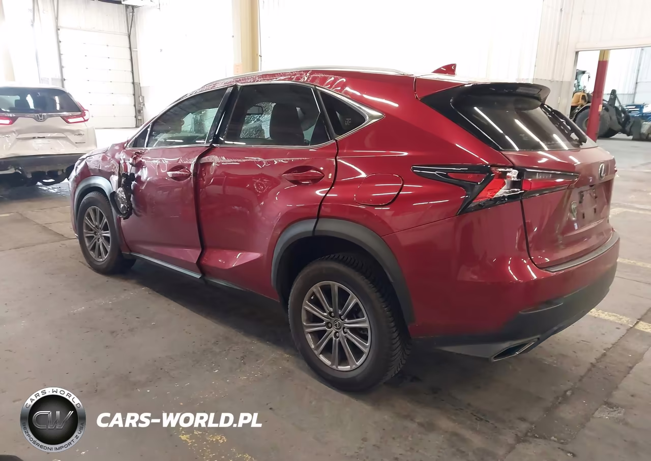 2020 Lexus Nx 300 VIN:JTJAARBZ0L5009092 - 3